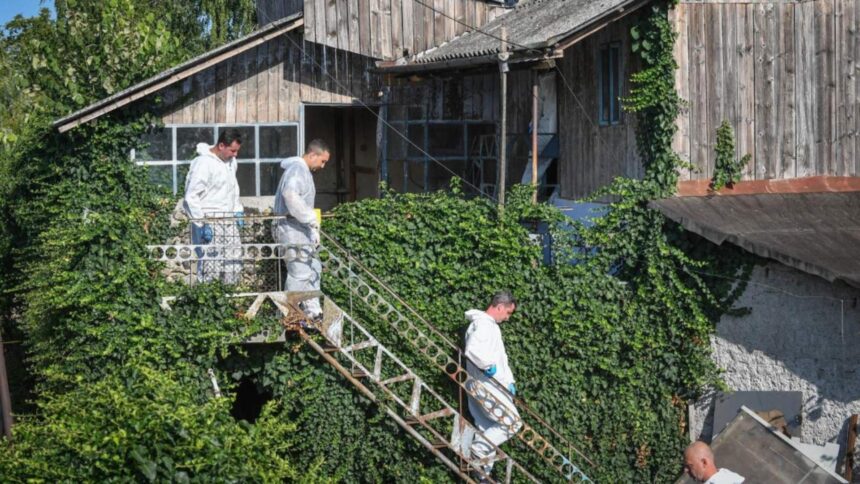 Nepotul lui Gheorghe Dincă, prins în gară. Ce a provocat tânărul în mijlocul mulțimii? 1 nepotul lui gheorghe dinca retinut in gara ce a putut sa faca tanarul de fata cu toata lumea 68c919d04aa61