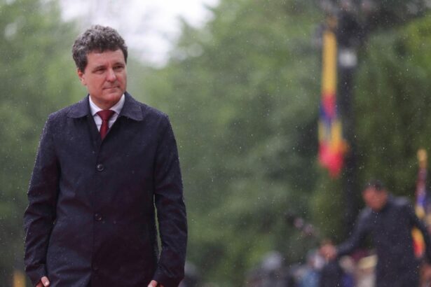 nicusor dan insista cu interferentele in alegeri dar fara dovezi mai mult se duce cu dosarul sa l prezinte si la reuniunea de la copenhaga 68dbf21a319d3