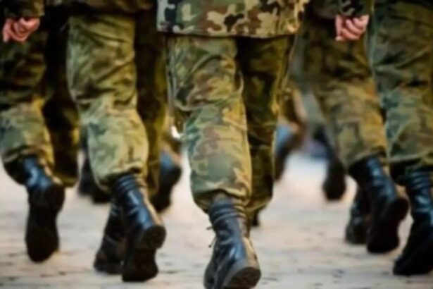 pensiile militarilor scoase din pachetul 3 de masuri fiscale declaratiile ministrului ionut mosteanu 68bf2d4629e36