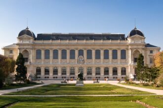 precious gold samples stolen in raid on french natural history museum 68caf4bdd463b