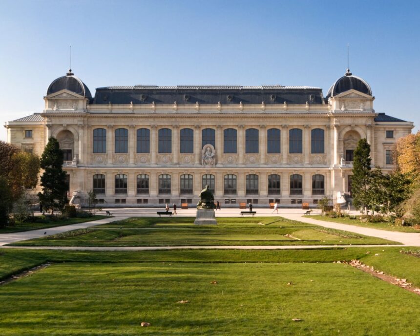 Bijuterii de aur deosebite furate în timpul unui jaf la Muzeul de Istorie Naturală din Franța 1 precious gold samples stolen in raid on french natural history museum 68caf4bdd463b