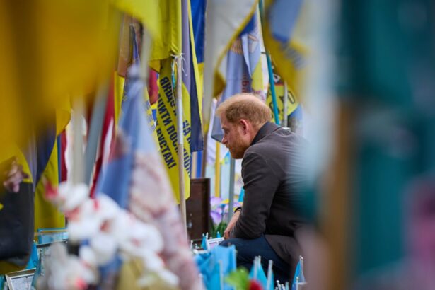 prince harry lays wreath to ukrainian war dead on surprise visit to kyiv 68c4d1ff89cce