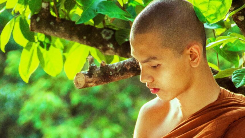 Învățăturile călugărilor budiști care îți pot transforma existența: Obiceiuri zilnice pentru o stare de bine îmbunătățită 1 principii ale calugarilor budisti care iti pot schimba viata rutina zilnica ce iti va imbunatati starea de spirit 68c2bc4a36a89