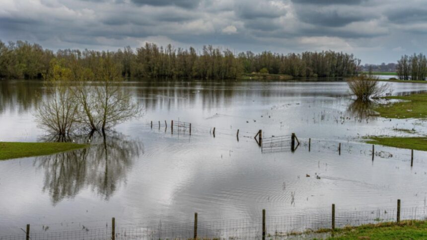 Avertizări de inundații pentru cursurile de apă din nordul și nord-vestul țării. Hidrologii au emis cod galben 1 risc de viituri pe rauri din nordul si nord vestul tarii hidrologii au instituit cod galben 68c151f16c4fa