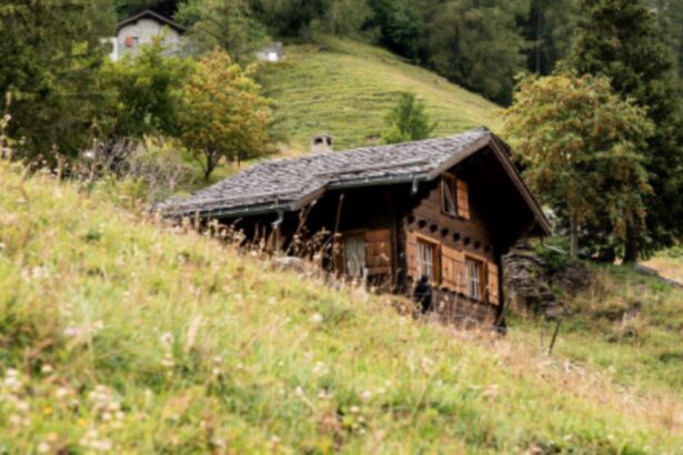 satul din romania care a ajuns sa aiba un singur locuitor barbatul nu vrea sa se mute nici in ruptul capului 68c19141c7d35