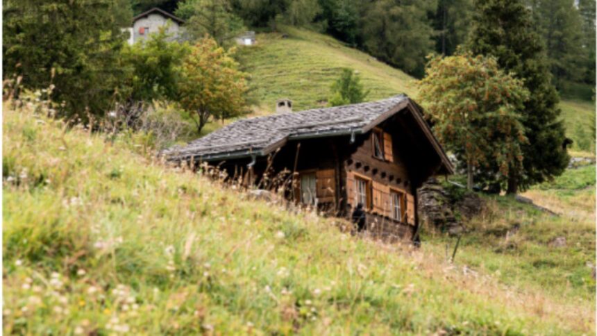 Satul românesc cu un singur locuitor: povestea bărbatului hotărât să nu plece niciodată 1 satul din romania care a ajuns sa aiba un singur locuitor barbatul nu vrea sa se mute nici in ruptul capului 68c19141c7d35