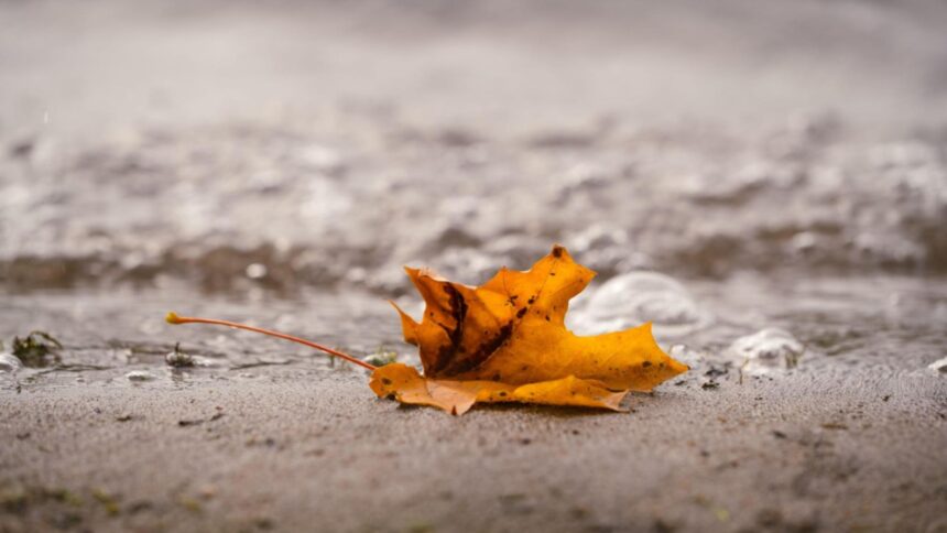 Răcirea vremii în București. Ce ne aduce prognoza meteo pentru următoarele zile: maxime de doar 19 grade la începutul lunii octombrie 1 scad temperaturile in capitala prognoza meteo pentru urmatoarele zile maximele nu trec de 19 grade la inceput de octombrie 68da4091da73f