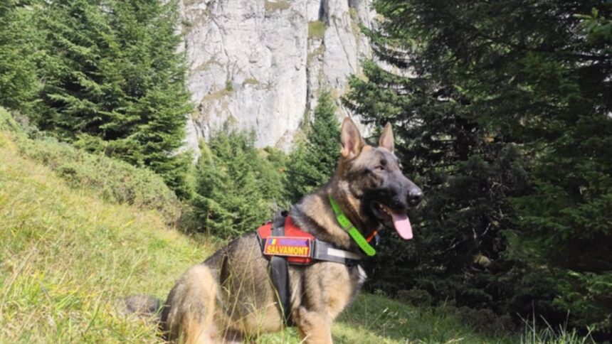 Un schelet uman descoperit în Munții Ceahlău: Rămășițele par să aibă peste 20 de ani, iar hainele ascund o poveste șocantă 1 schelet uman descoperit in muntii ceahlau anchetatorii cred ca ramasitele dateaza de peste 20 de ani tulburator ce au gasit in haine foto 68c162545992c