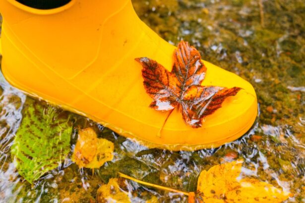 schimbare brusca de temperatura dupa zilele calde vremea se raceste si vin ploile temperaturi chiar si cu 10 grade mai scazute 68d1271f6d794