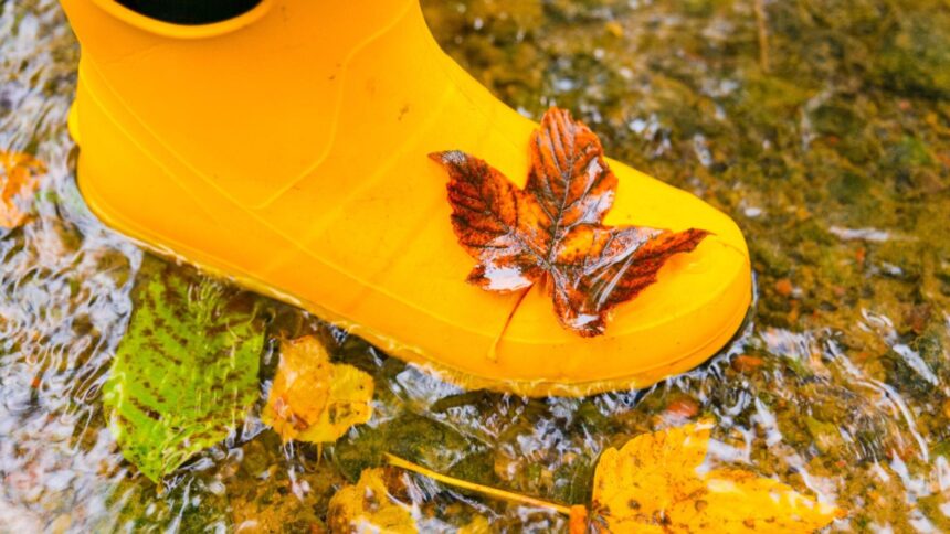 Vreme capricioasă: după zilele însorite, se anunță o răcire bruscă și ploi abundente, cu temperaturi cu până la 10 grade mai joase 1 schimbare brusca de temperatura dupa zilele calde vremea se raceste si vin ploile temperaturi chiar si cu 10 grade mai scazute 68d1271f6d794