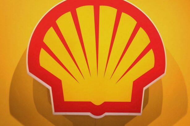 shell scraps construction of biofuels plant in rotterdam 68b801132dccc