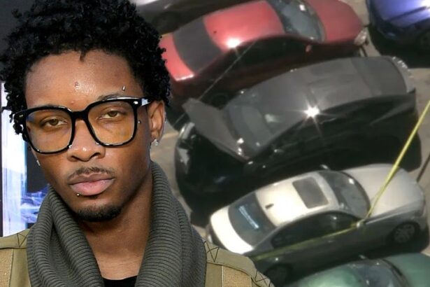 singer d4vds tesla with human remains abandoned for days lapd homicide investigating 68c0c20121cad