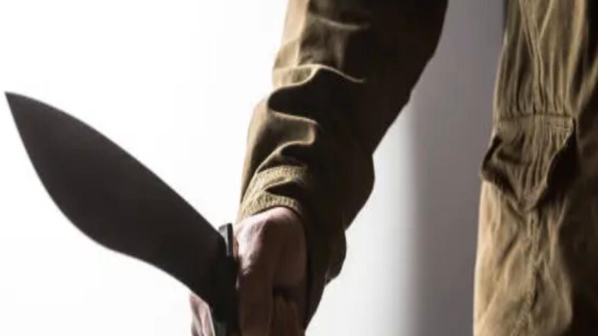 Un bărbat a agresat cu maceta copii și polițiști, fiind neutralizat de forțele de ordine 1 un barbat a atacat cu maceta mai multi copii si politisti agresorul a fost ucis de oamenii legii 68cc6da7d6dbf