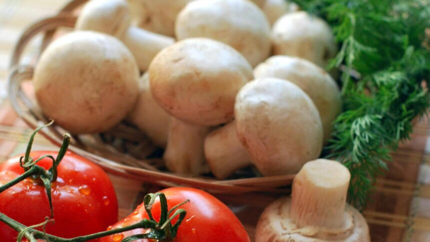 Metodele ideale de păstrare a ciupercilor și durata lor de valabilitate 1 unde se depoziteaza corect ciupercile si cat timp se pot pastra 68c9362cc6fa1