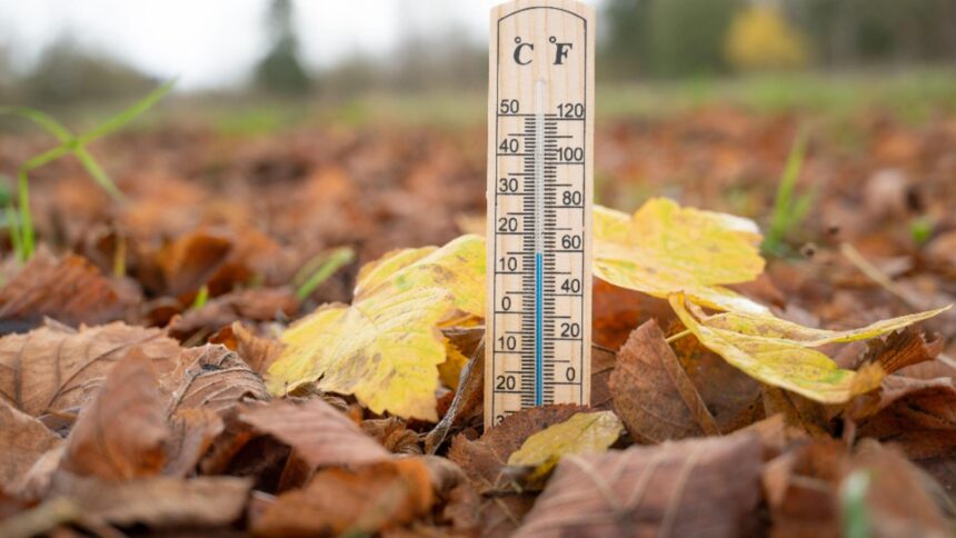 Valuri de căldură și secetă: previziunile ANM pentru următoarele patru săptămâni 1 vreme anormal de calda si deficit de ploi prognoza anm pentru urmatoarele patru saptamani 68bfba97c8af7