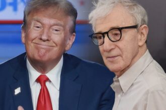 woody allen says donald trump was a pleasure to direct in celebrity 68b63e5b5a412