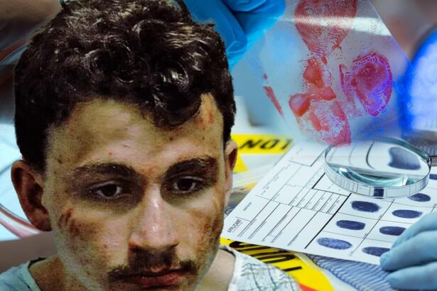 accused connecticut mom killer took gruesome forensics class 69013698cd17d