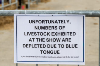 alerta epidemiologica in gorj focar de boala limbii albastre la bovine virusul se extinde in europa anunta expertii veterinari 68ddf97054d76