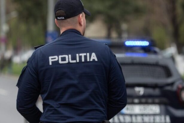 ancheta dupa disparitia unei cruci din bronz de pe o stema istorica suspectul este un barbat de 54 de ani 68e9468f31957