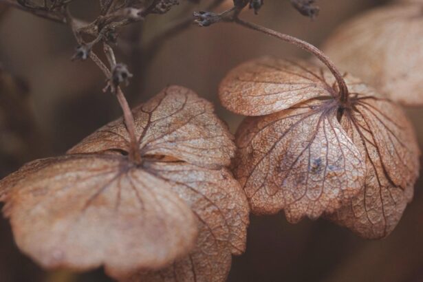 avertisment de la meteorologi un nou val de frig si ploi abundente va afecta romania 68e22e319fc71