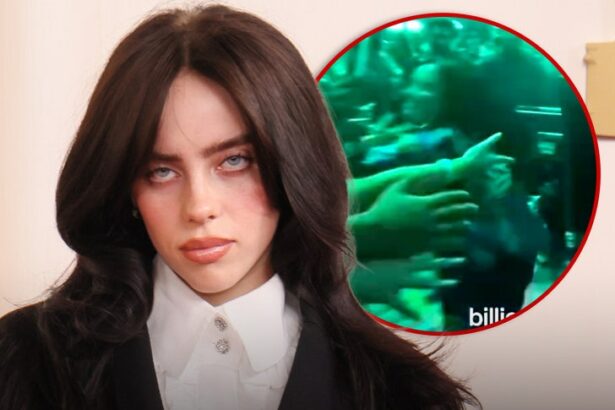 billie eilish violently grabbed by fan during miami concert 68e8ff68aa1d7