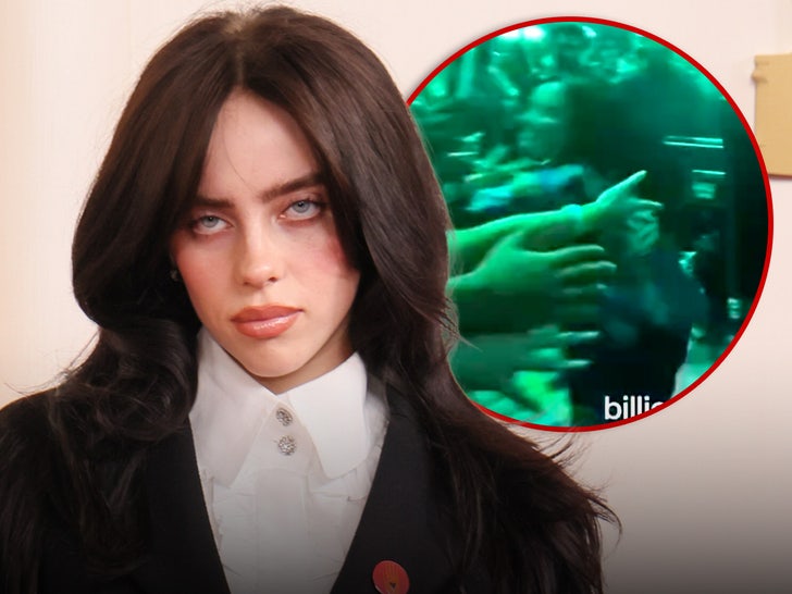 Billie Eilish, brusc prinsă de un fan în timpul concertului din Miami 1 billie eilish violently grabbed by fan during miami concert 68e8ff68aa1d7