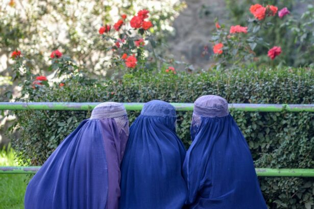 burqa ban bill approved by portugals parliament seen as targeting muslim women 68f29b2e3dca9