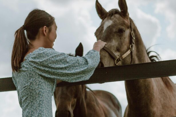 care este animalul tau de companie ideal in functie de zodie 68dcb245664d0