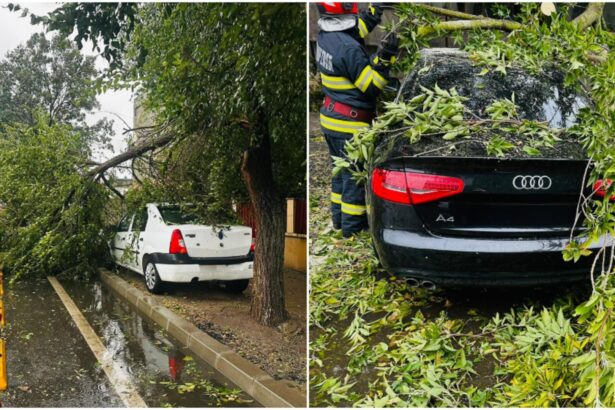 ce trebuie sa faci atunci cand cade un copac peste masina ta in ce conditii si de la cine poti primi despagubiri 68e09c61ce344