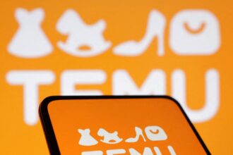 chinas temu more than doubles eu profits to nearly 120m despite having only eight staff 68ed3b7ec5f58