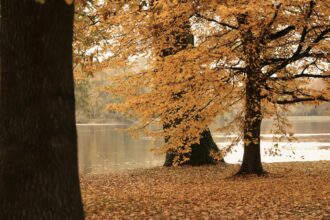 cum va fi vremea in luna octombrie cand scapam de frig si ploi 68e1311310380