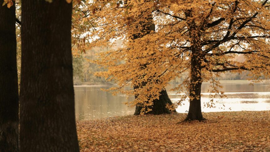 Ce surprize ne rezervă vremea în octombrie? Când va sosi căldura și soarele? 1 cum va fi vremea in luna octombrie cand scapam de frig si ploi 68e1311310380