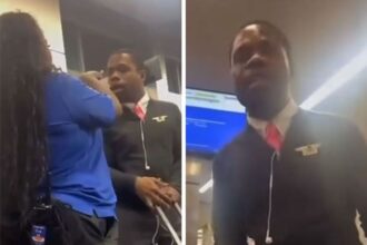delta flight attendant goes berserk at southwest gate agent video shows 68f77ea22d2c4