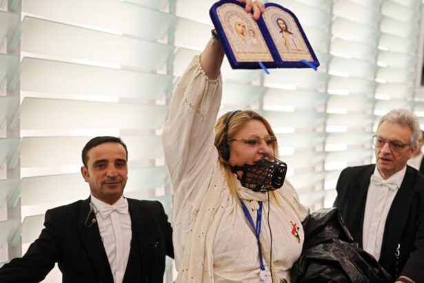 diana sosoaca urmarita penal pentru 11 infractiuni ce risca europarlamentara sos romania 68e3bfeebdc6f