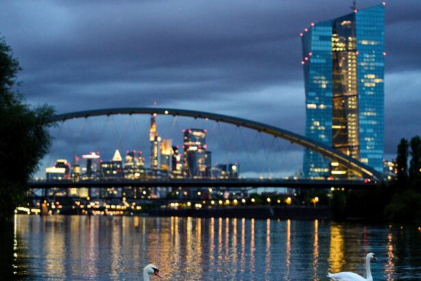 ecb keeps interest rates on hold despite eurozone inflation fears 69036dbb7a94f