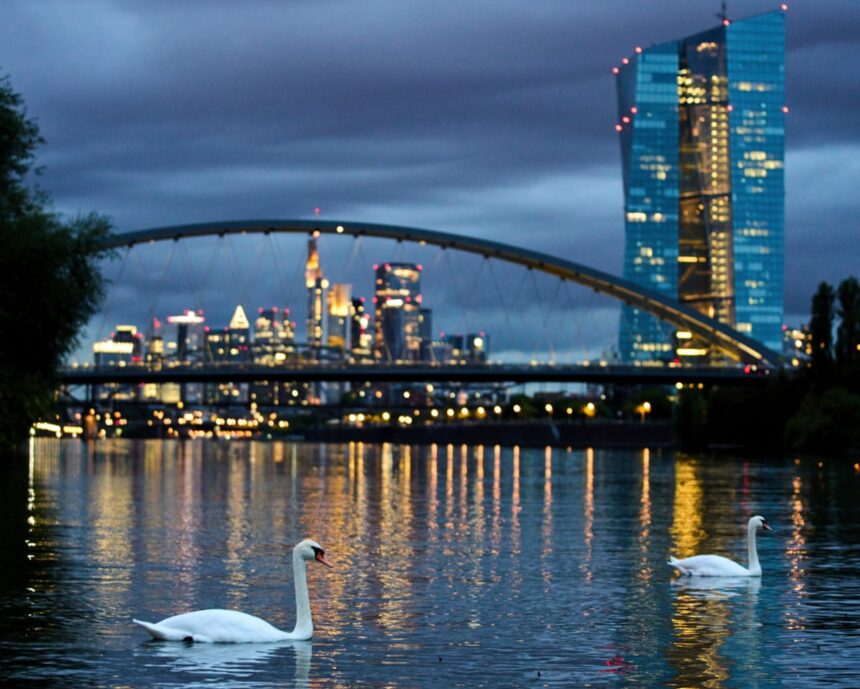 ecb keeps interest rates on hold despite eurozone inflation fears 69036dbb7a94f