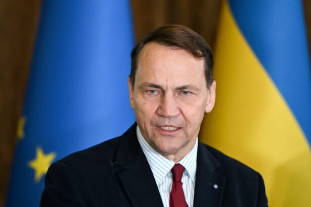 european leaders near deal to use frozen russian assets for ukraine 68f5c8496e585