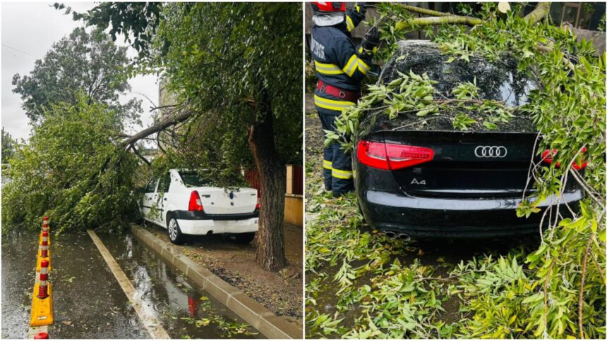 Furtuna devastatoare în București: Peste 200 de copaci doborâți și 163 de mașini avariate 1 furtuna a facut ravagii in bucuresti peste 200 de copaci au fost doborati de vantul puternic iar 163 masini au fost avariate video 68e0c077bb603