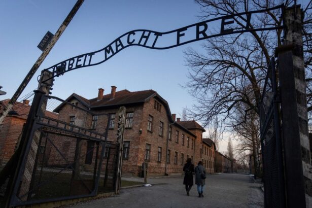 german dentists hold memorial recognising sadistic practices of profession under nazis 69035531d5387