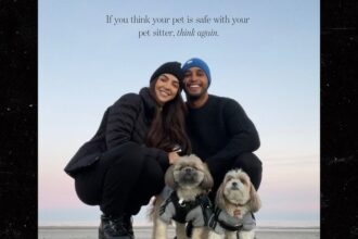 hgtv couple claims pet sitter covered up poochs brutal death by bigger dog 68fab437977d3