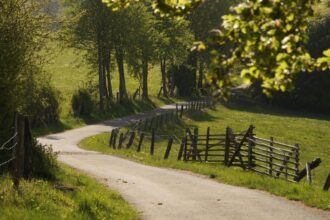 horoscopul de weekend 11 12 octombrie 2025 vin bani neasteptati pentru o zodie 68e8e30a71808