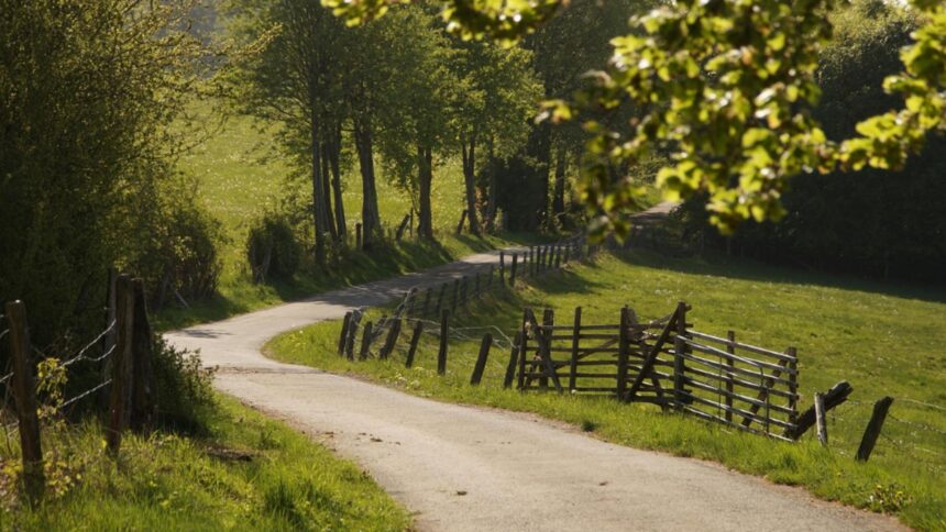 horoscopul de weekend 11 12 octombrie 2025 vin bani neasteptati pentru o zodie 68e8e30a71808