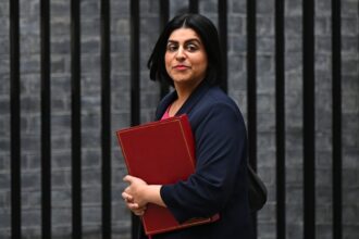 human rights official urges uk to review laws after palestine action placard arrests 68ee1430f3612