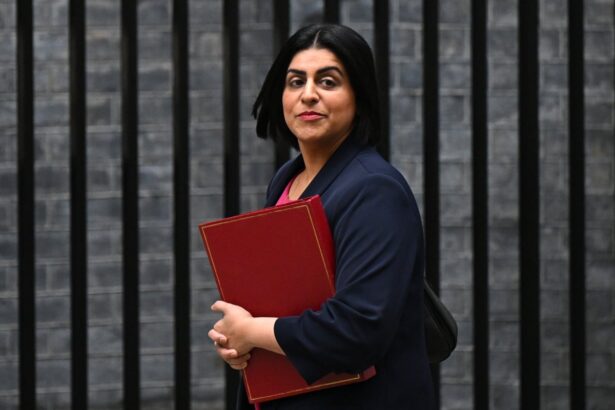 human rights official urges uk to review laws after palestine action placard arrests 68ee1430f3612