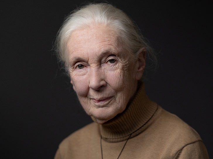 Aflăm cauza decesului lui Jane Goodall 1 jane goodall cause of death revealed 68f653cb68ea6