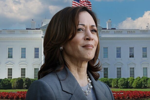 kamala harris teases presidential run 68fcfbbe8a8ac