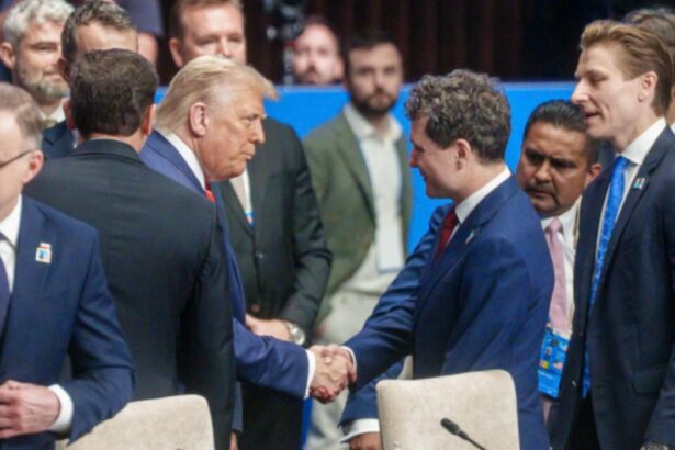 la cotroceni inca se lucreaza la vizita lui nicusor dan in statele unite ale americii 68e0ed280bf5f