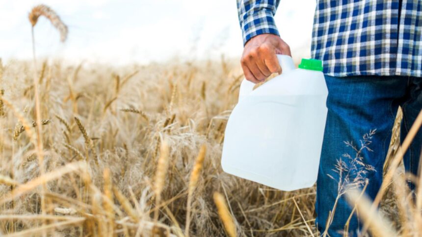 Lege pentru siguranța alimentelor: Guvernul implementează măsuri stricte împotriva pesticidelor 1 lege impotriva otravurilor din farfurie guvernul adopta masuri noi impotriva utilizarii pesticidelor 68de3fb7a8a66