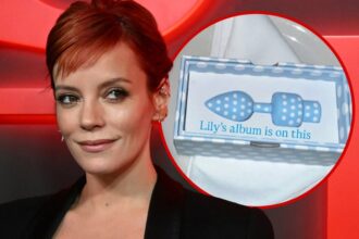 lily allen gives out butt plugs to celebrate new album at launch party 690519a51a1a7