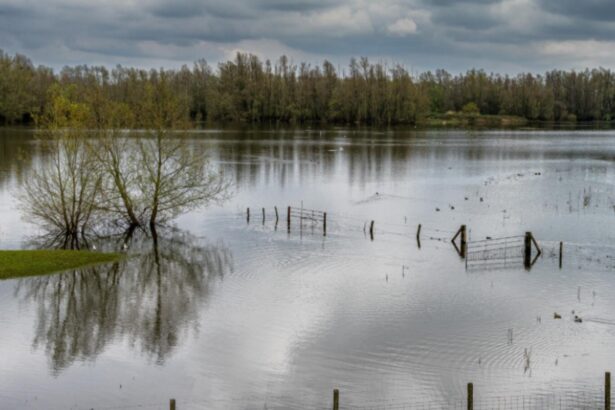 ministrul energiei mobilizeaza comandamentul energetic pentru criza ca raspuns la vremea extrema care pune romania in primejdie 68e54c4843c4e